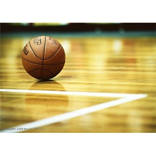 篮球木地板，篮球木地板价格